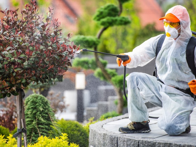 Almus Haşere İlaçlama